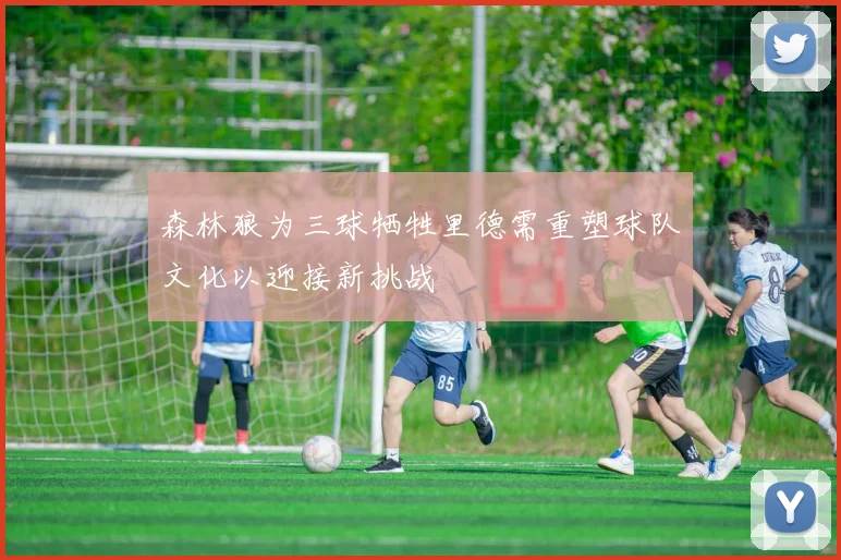 森林狼为三球牺牲里德需重塑球队文化以迎接新挑战