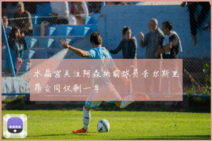 水晶宫关注阿森纳前球员奈尔斯里昂合同仅剩一年